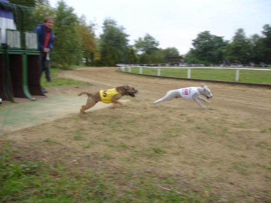 10409263_0685b477301c74a0bd4c4397fec10f4a_m.jpg