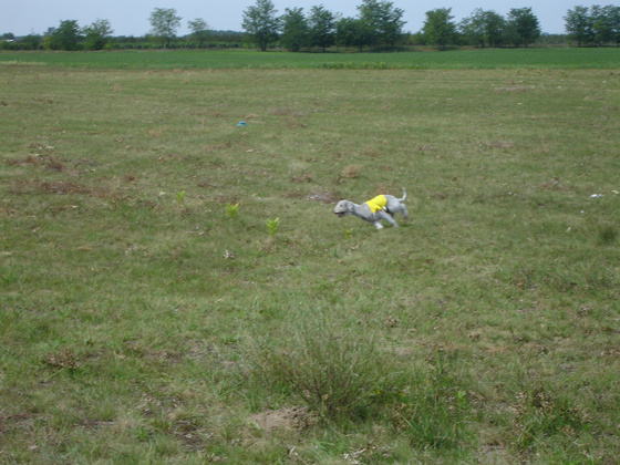 5168053_86bd0a649d95c40d4e7e8ffeefaff6e5_m.jpg