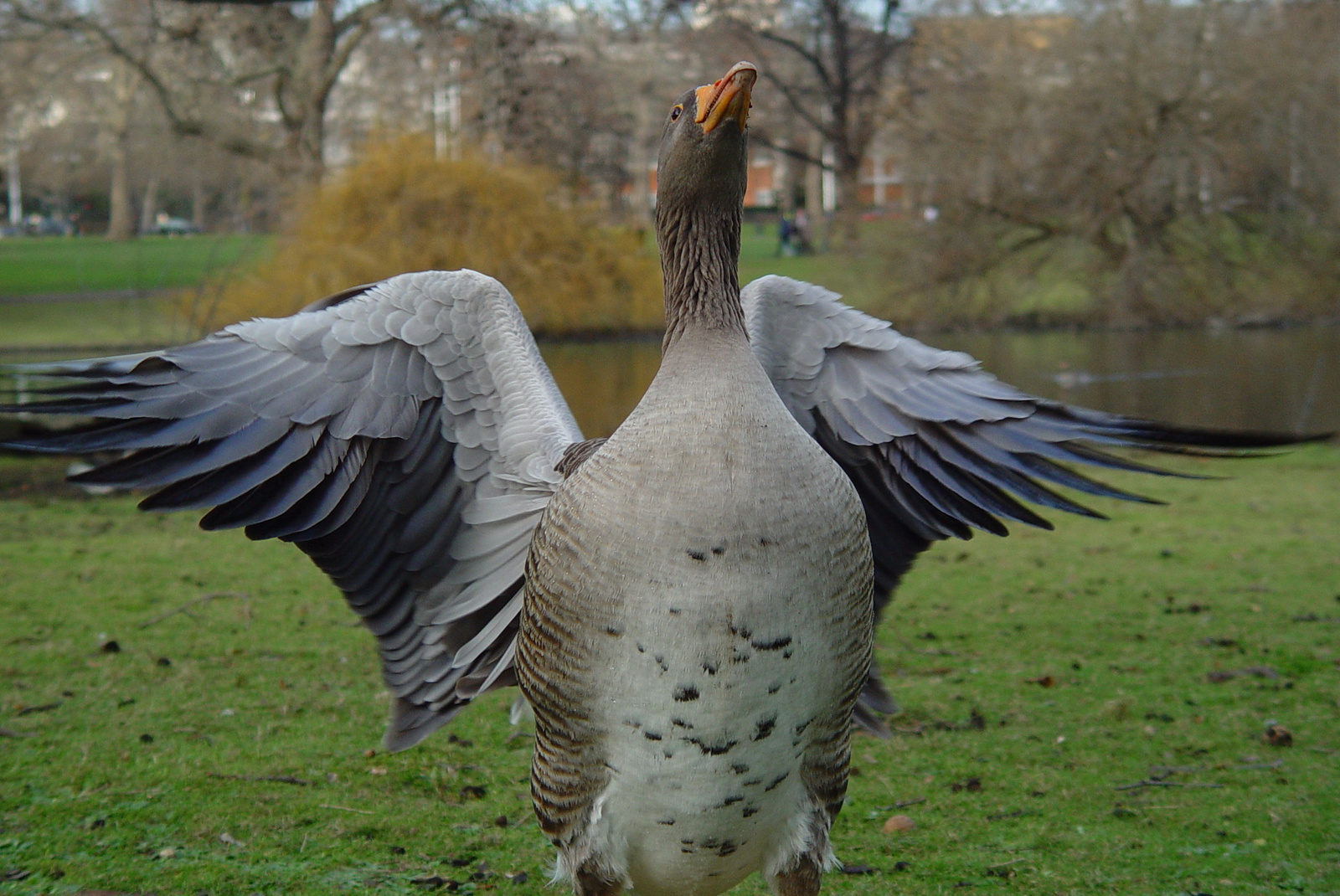 St. James's Park