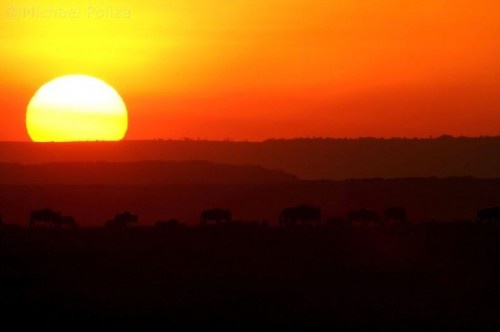sunsets africa michael poliza 06-500x332
