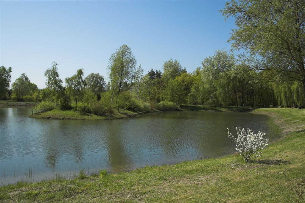 Bánki tájház, arborétum (4)