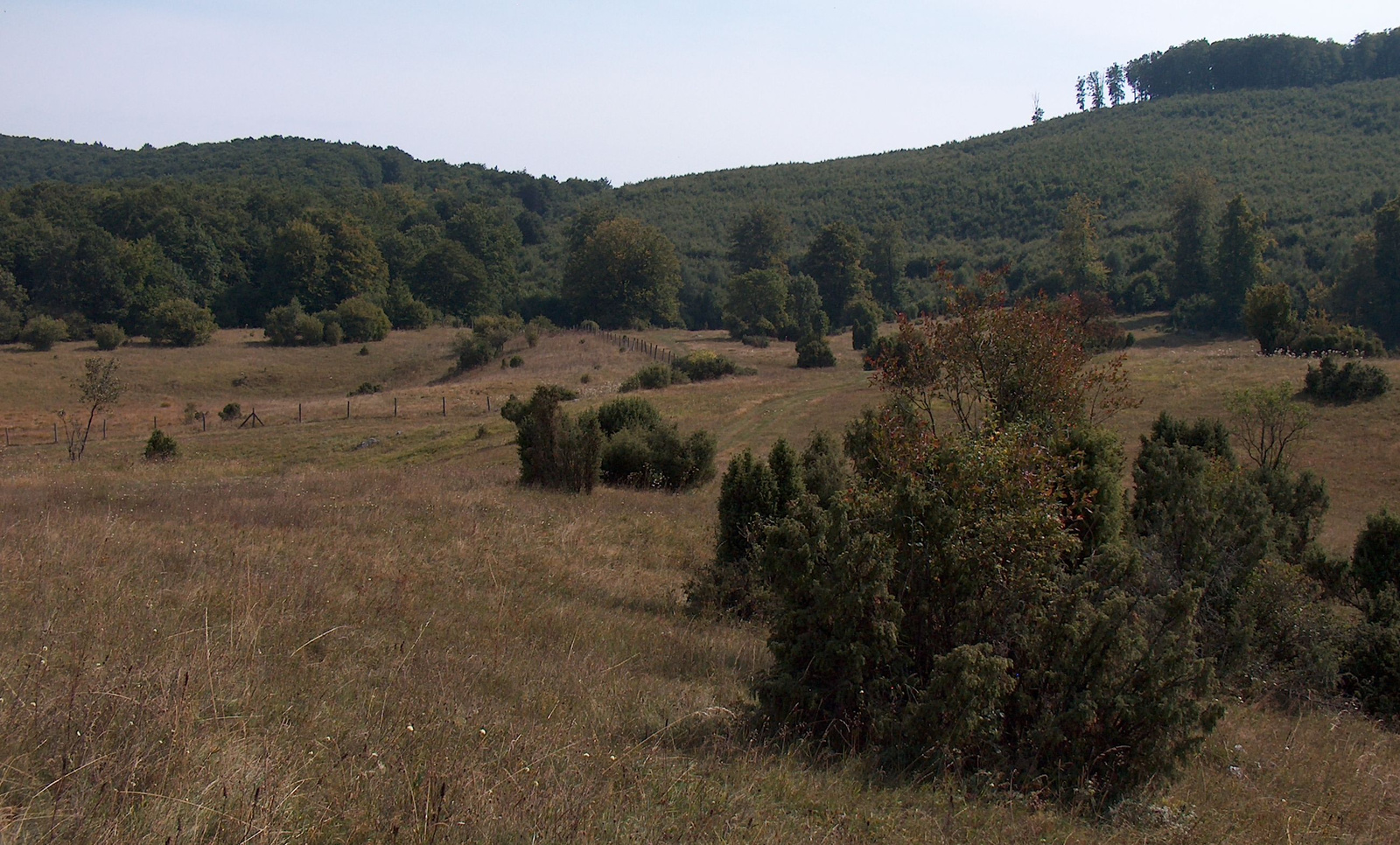 20090912 Bukk 19 Nagy-mezo