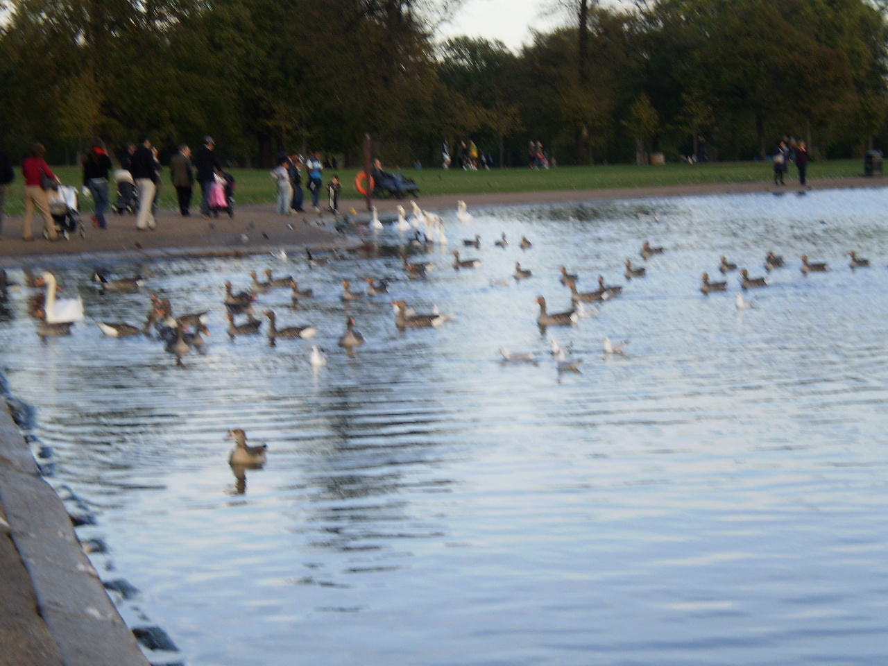 London 20091010 és Kensington Park 086