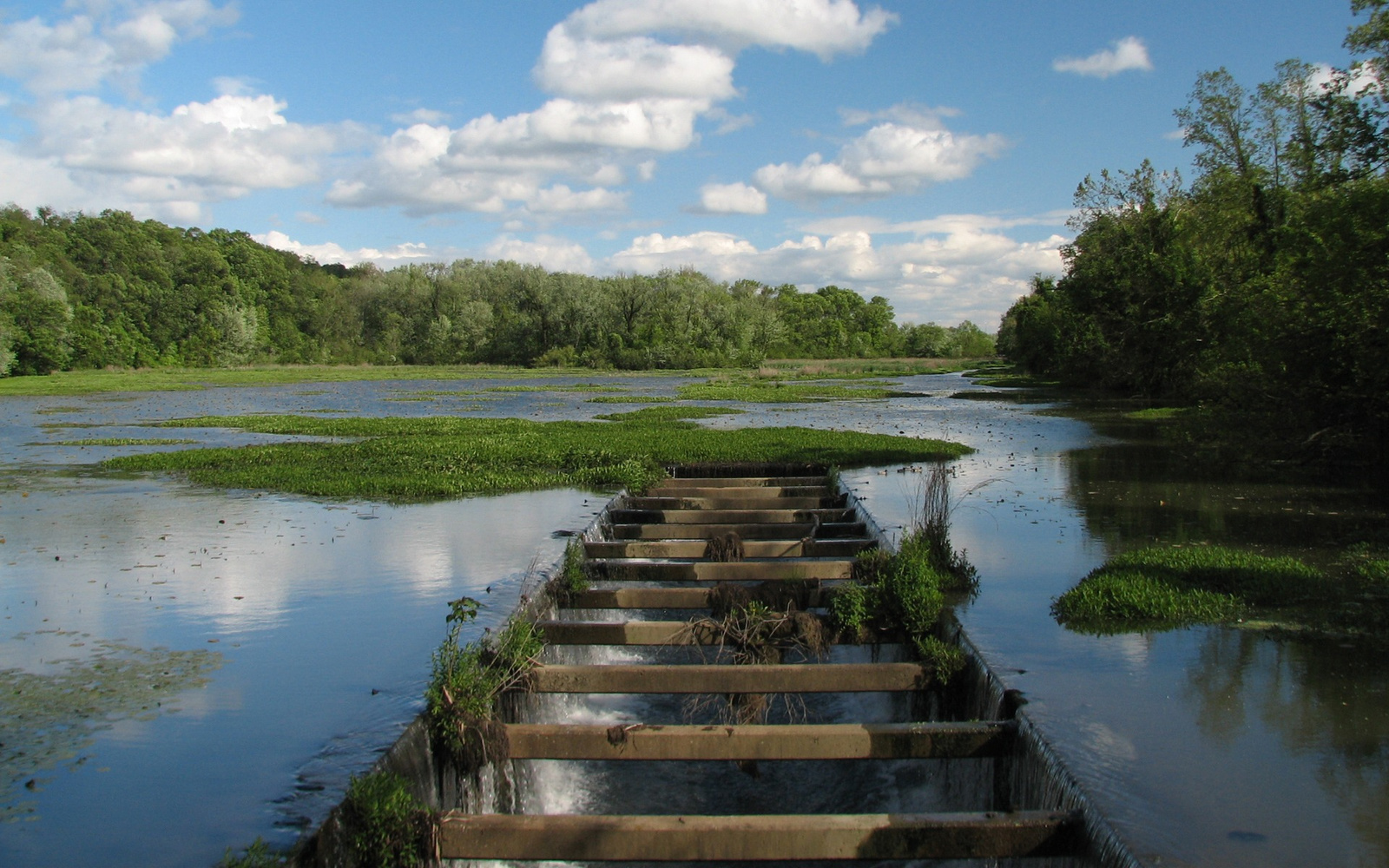 1920x1200 Wildwood Lake widescreen