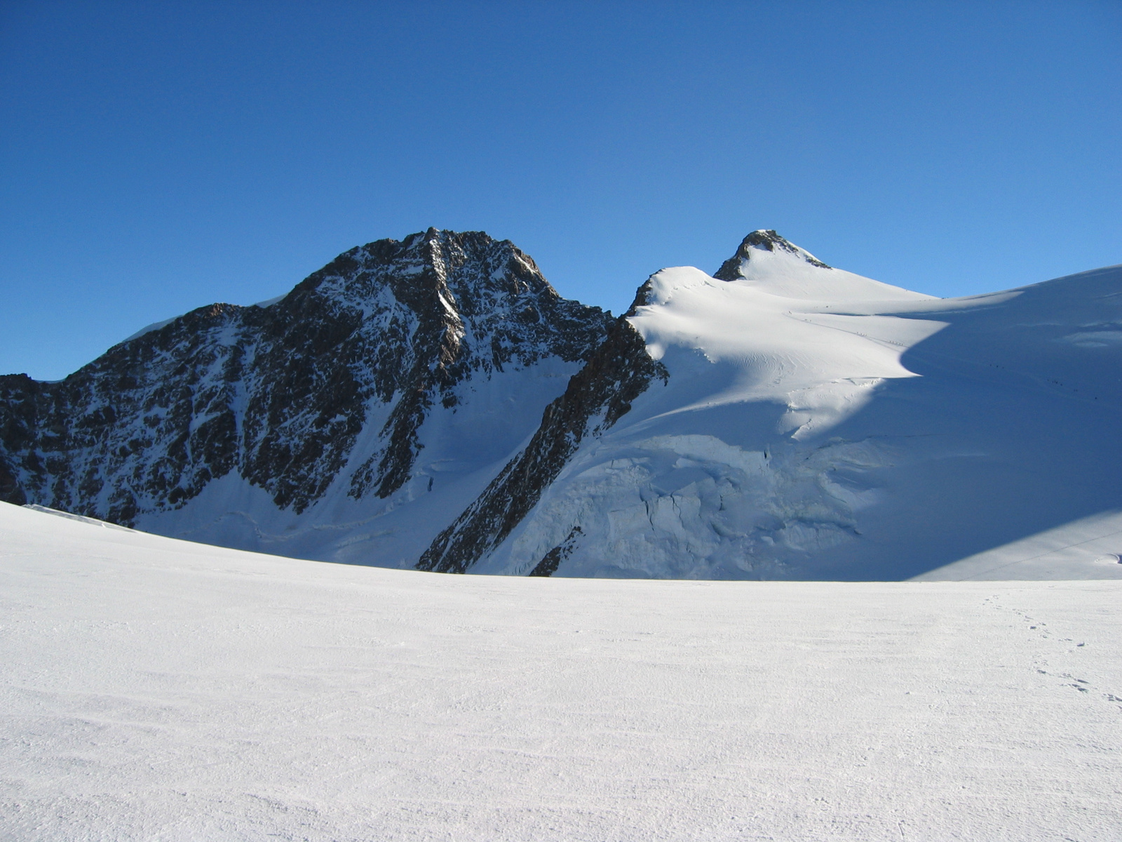 111 1185 - Monte Rosa, Zumsteinspitze