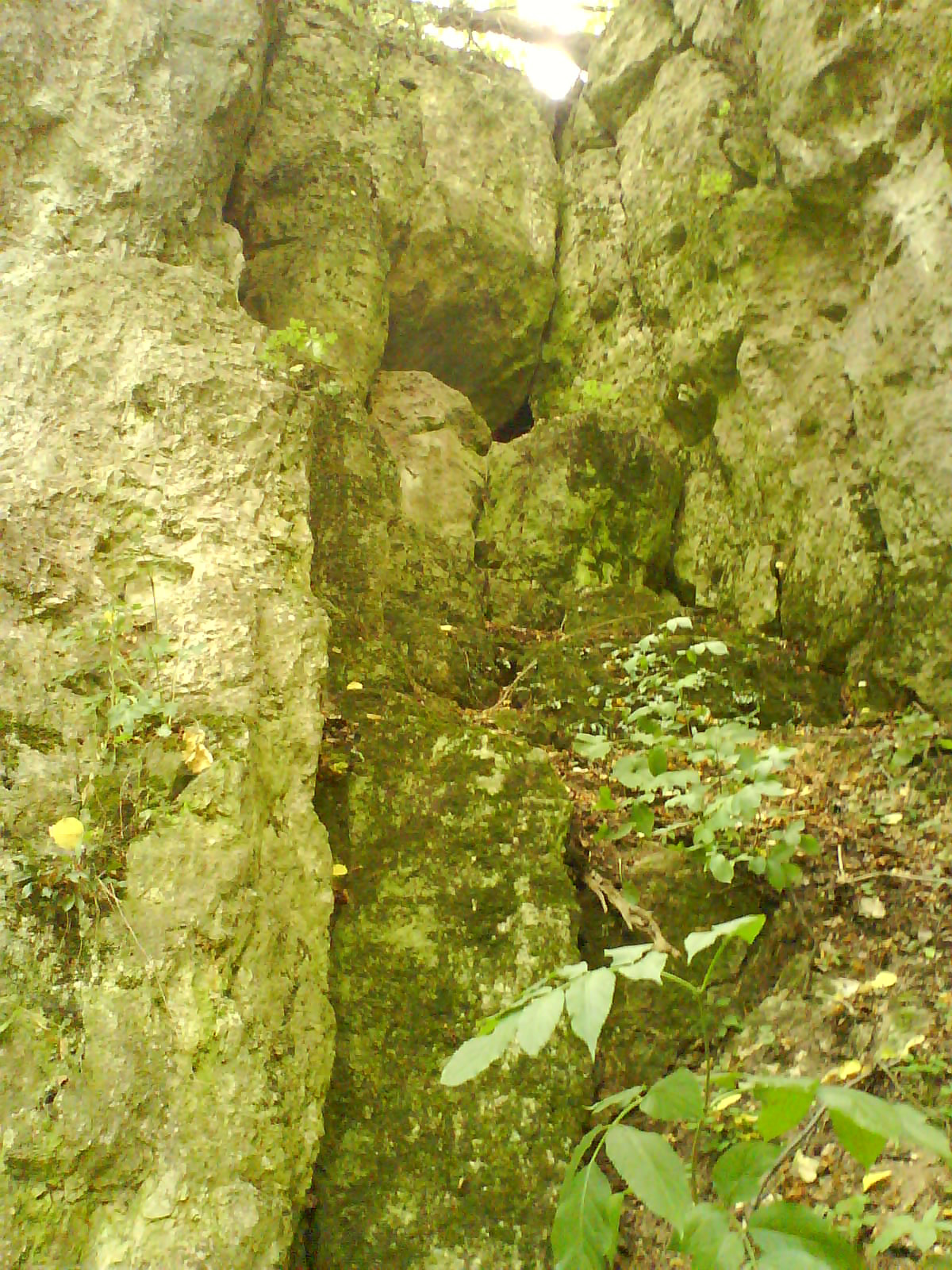 12,35 az egyik barlangüreg a nagy sziklában