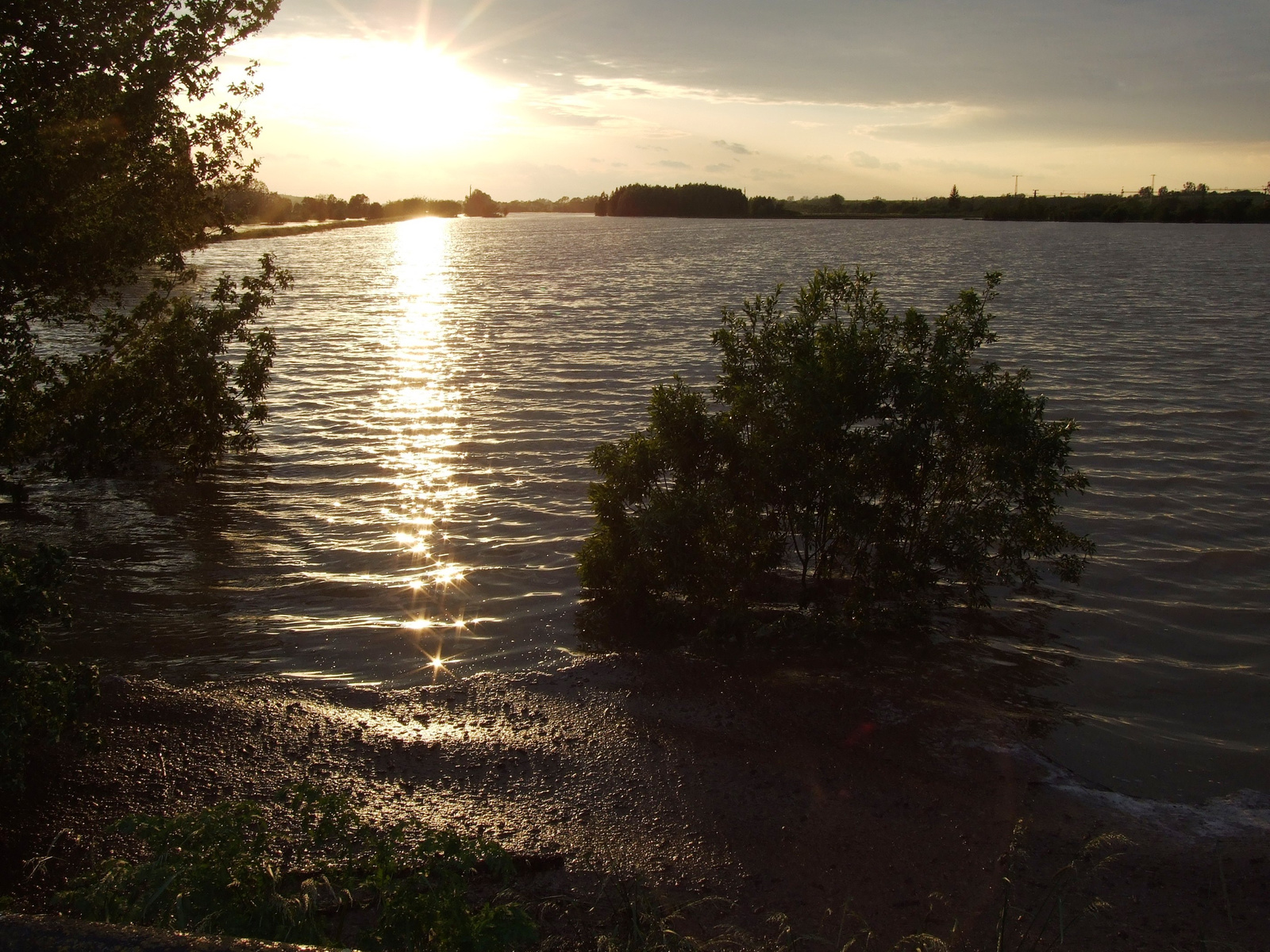 A kiöntött Kapos folyó Baténál - 2010.05.18.