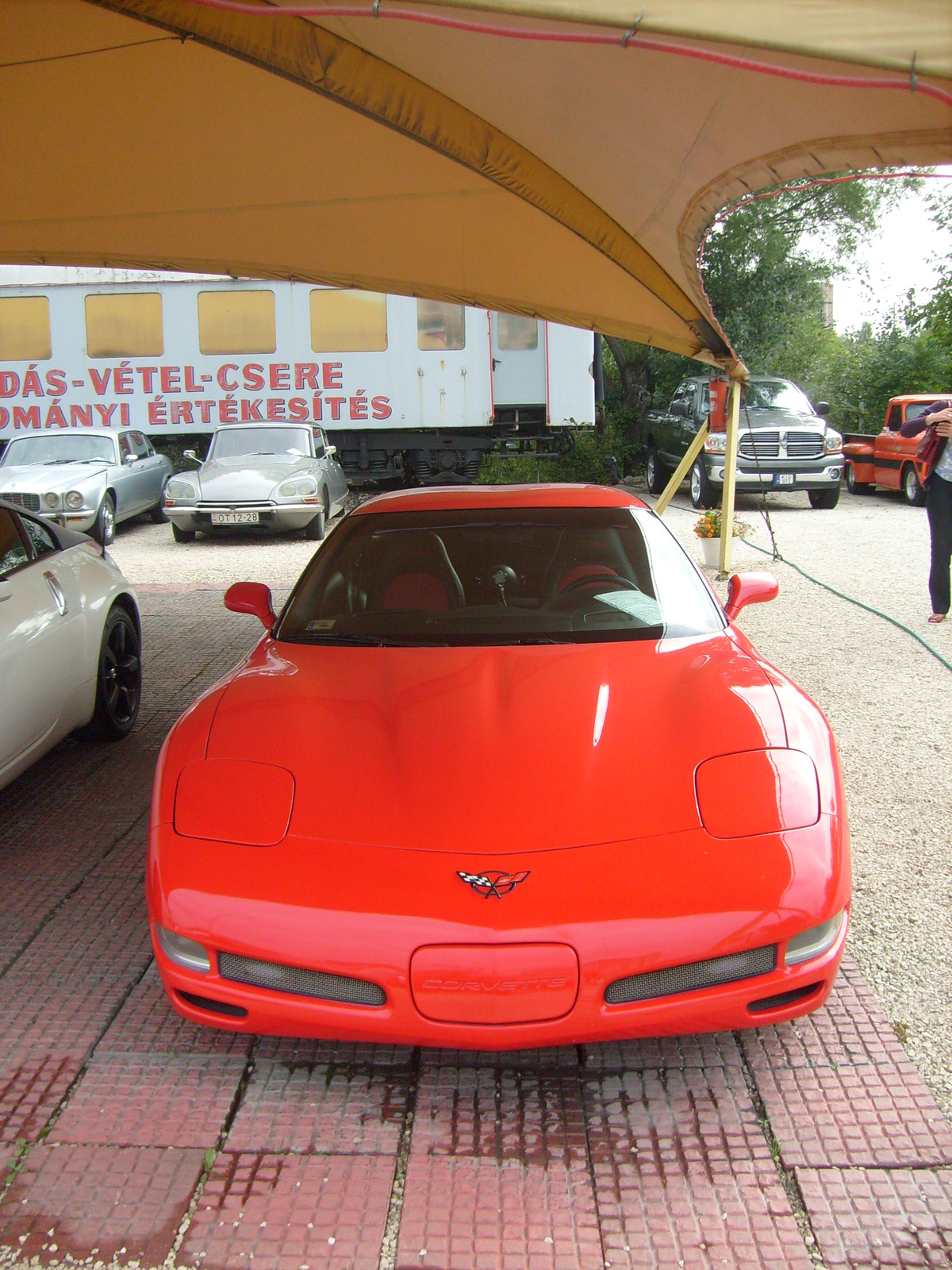 Nitros Corvette C5 Z06