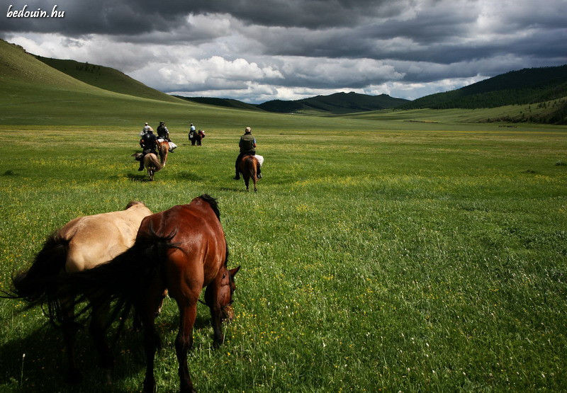 Exploring - Mongolia, 2007