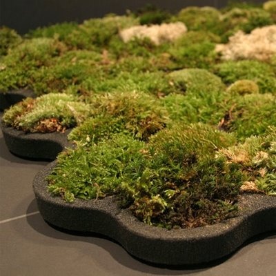 bathroom rug made out of moss 2