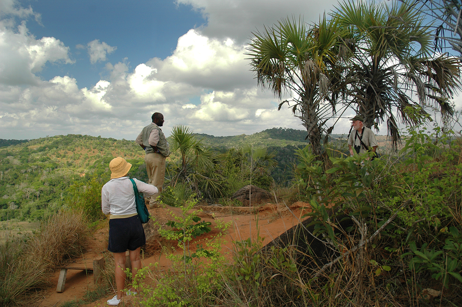 Shimba Hills