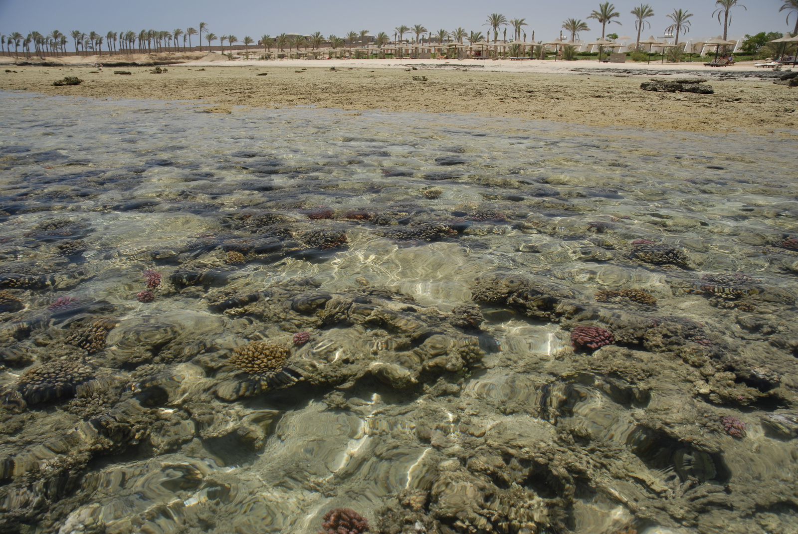 Marsa Alam (310)