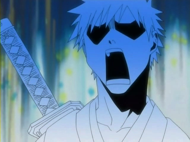 bleach ichigo0246