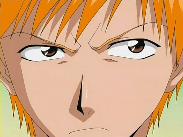 bleach ichigo0255