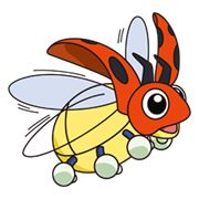 Ledyba14