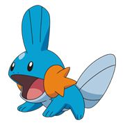 Mudkip107