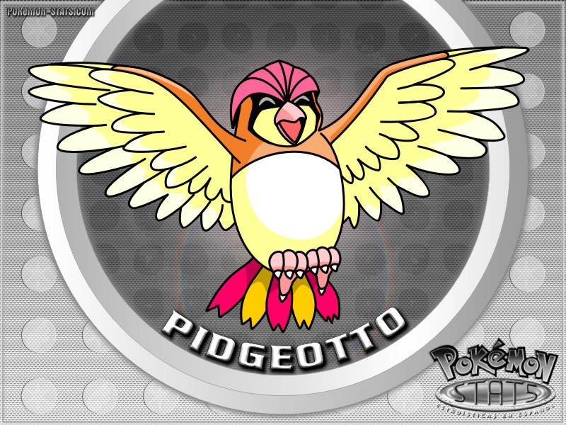 pidgeotto