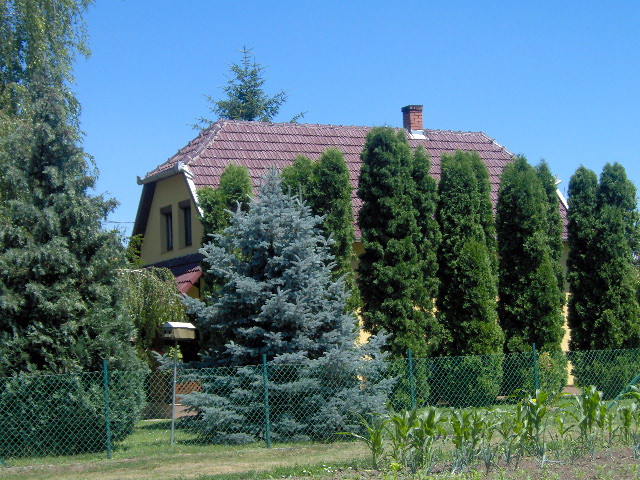 2009.Szarvas 067