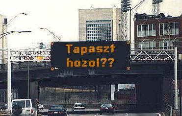 tapaszt hozol