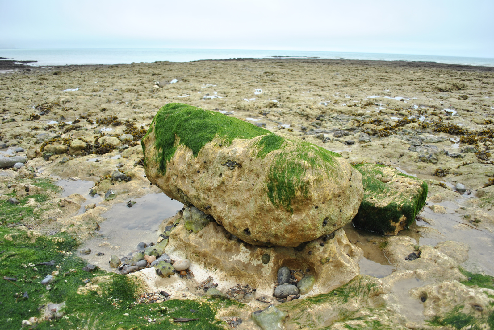 Seaford, UK