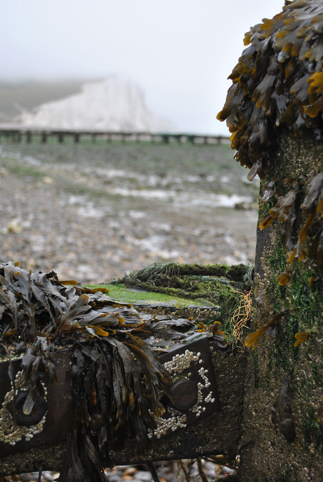 Seaford, UK