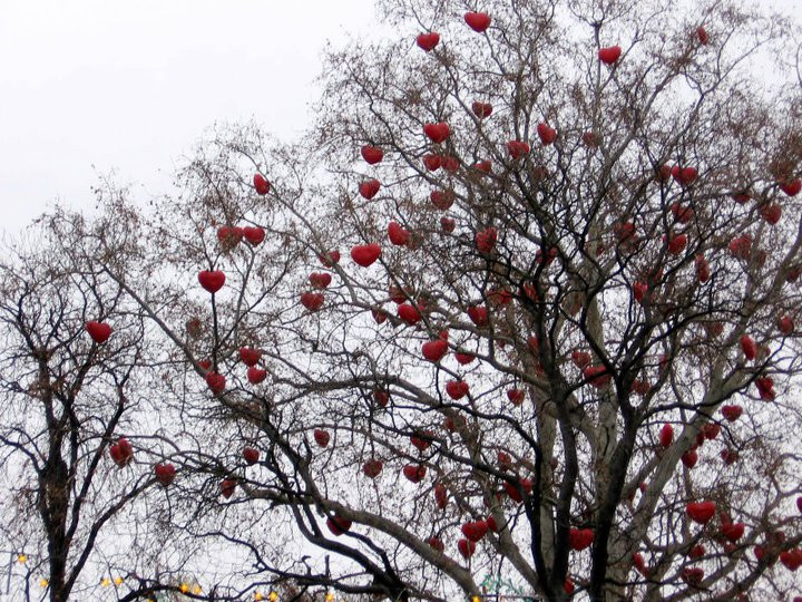 Advent Bécsben