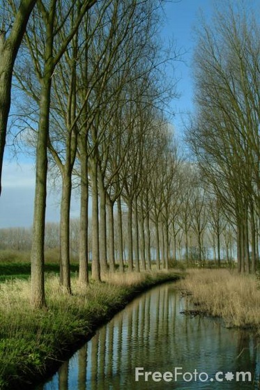 03 03 82---Tree-lined-Canal--Damme--Belgium web