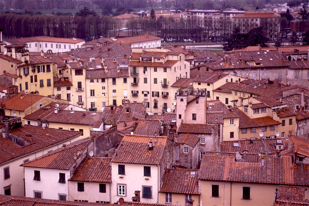 Lucca-55