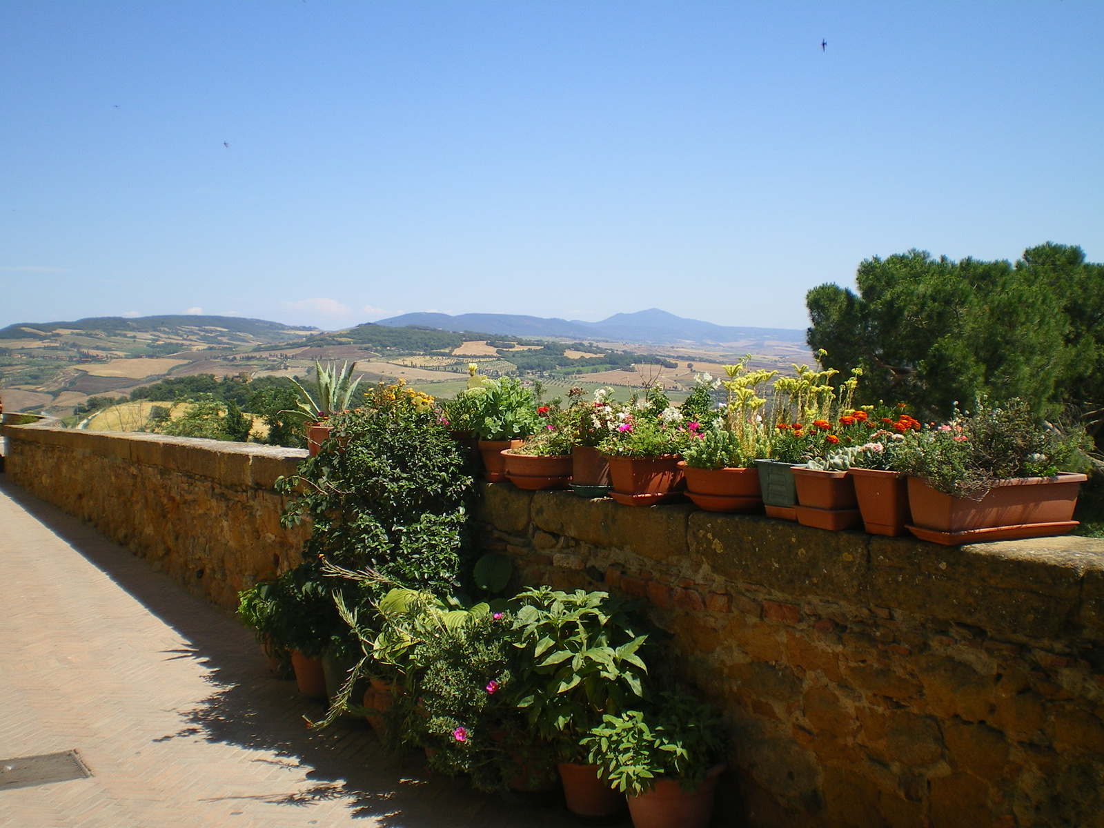 Pienza