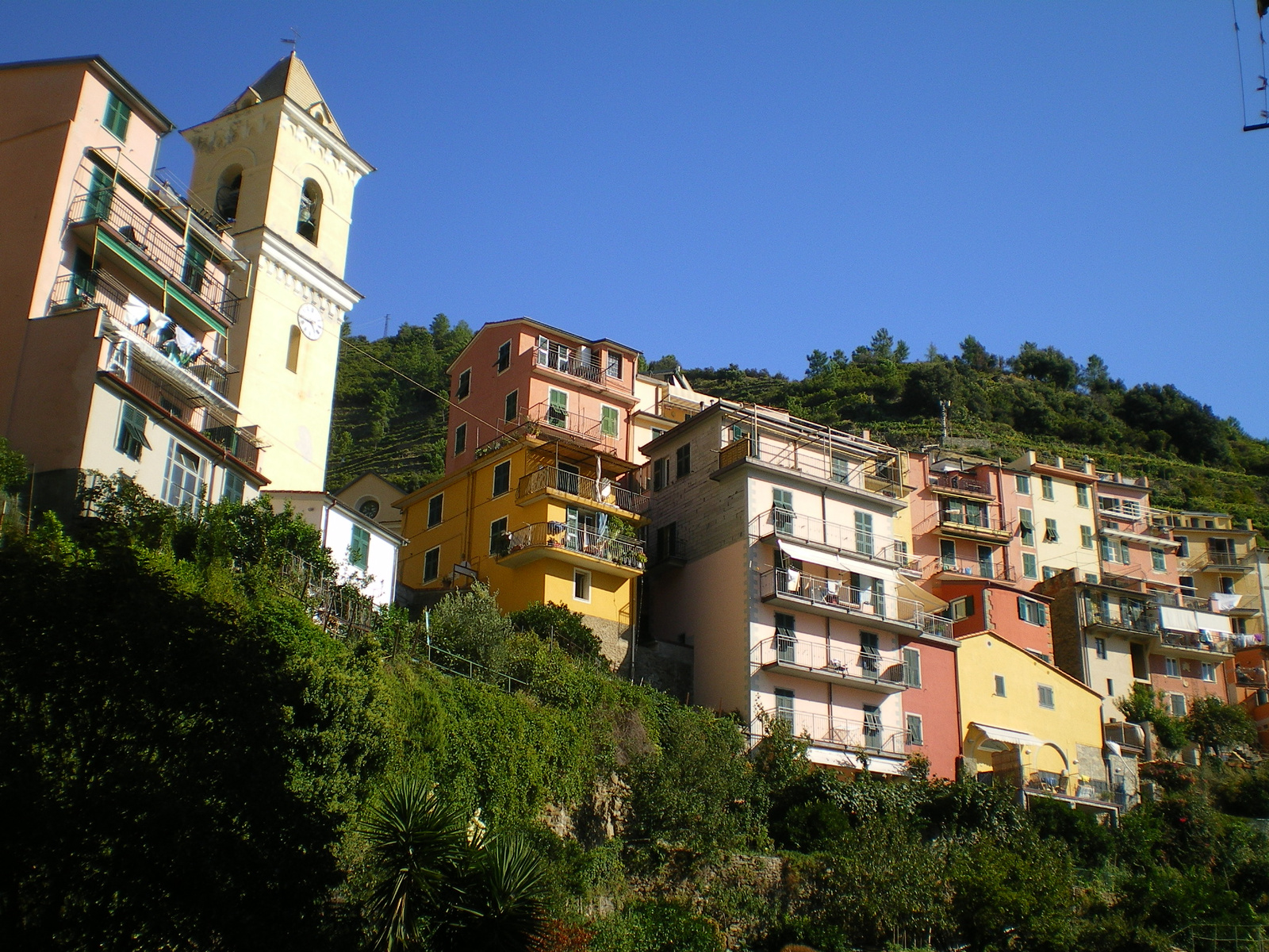 Manarola