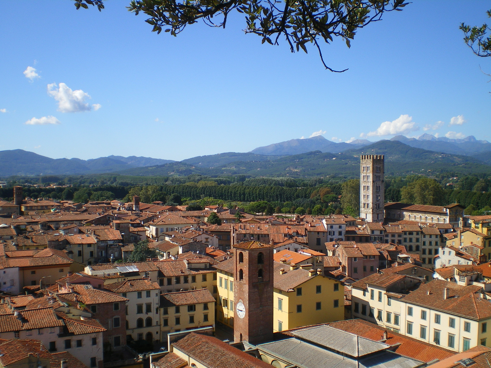 Lucca