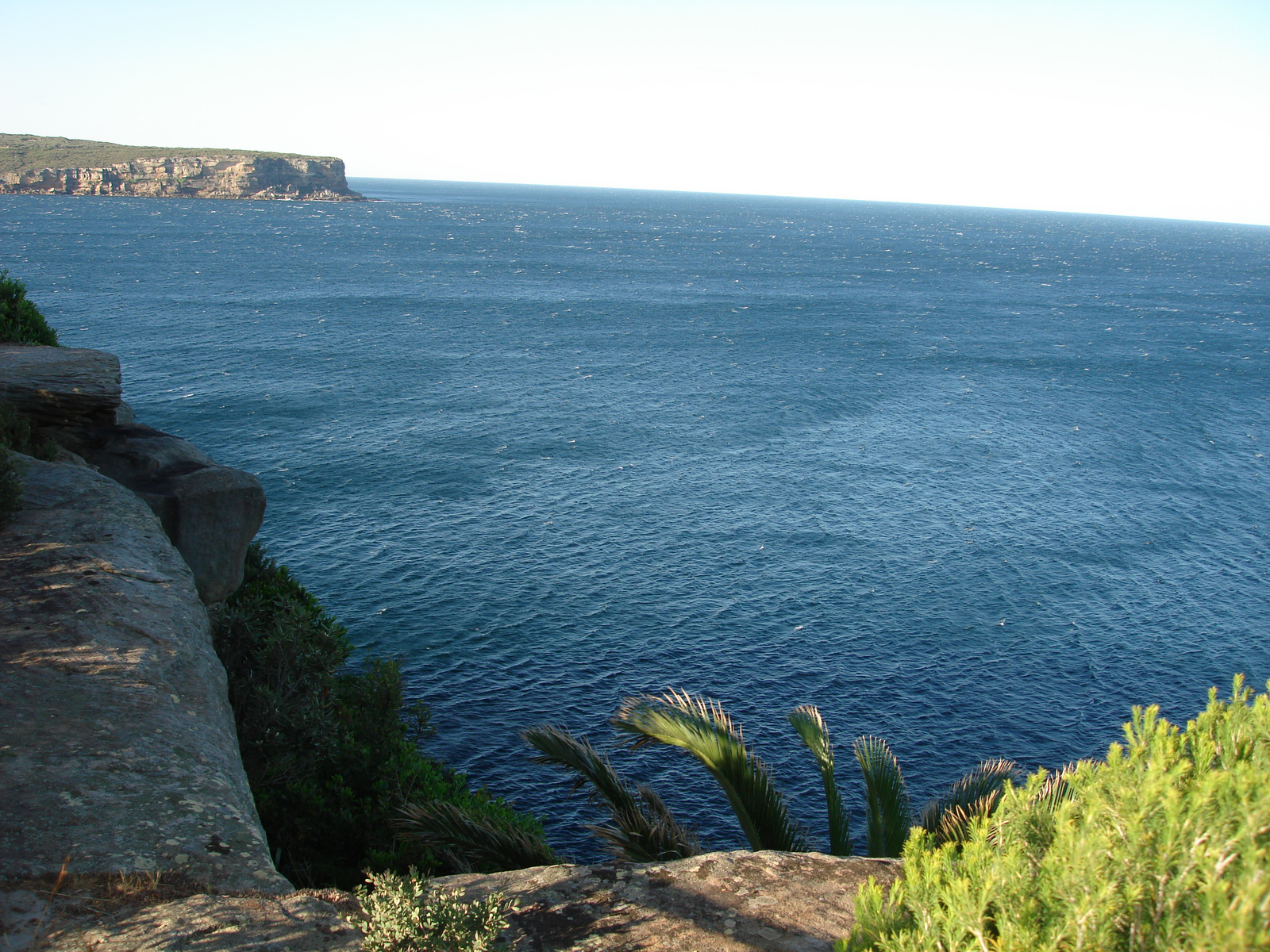 Watsons Bay:)