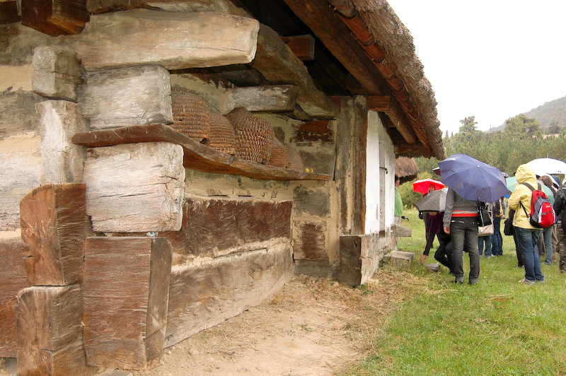 skanzen-15