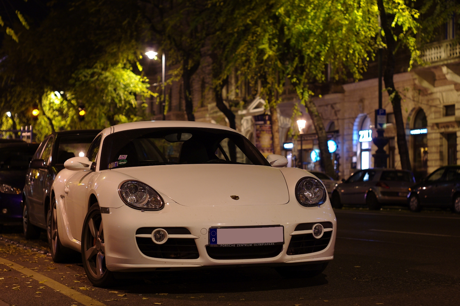 Porsche Cayman (4)