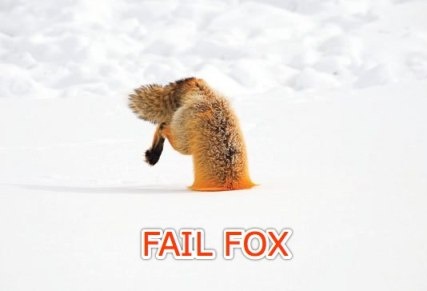 fail-fox