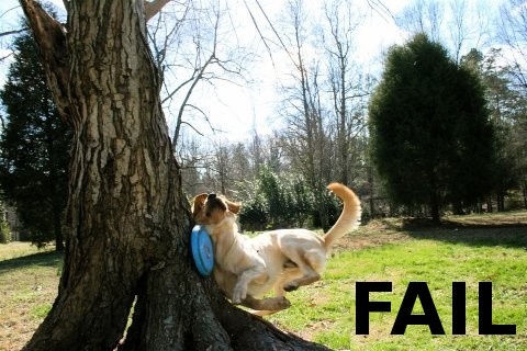 frisbee-fail