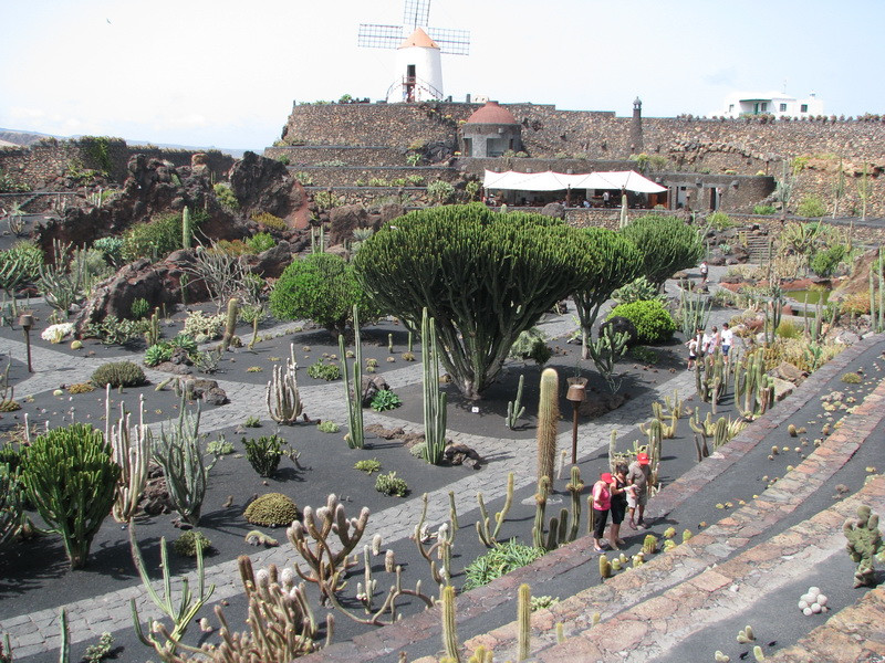 Jardín de Cactus[056] resize