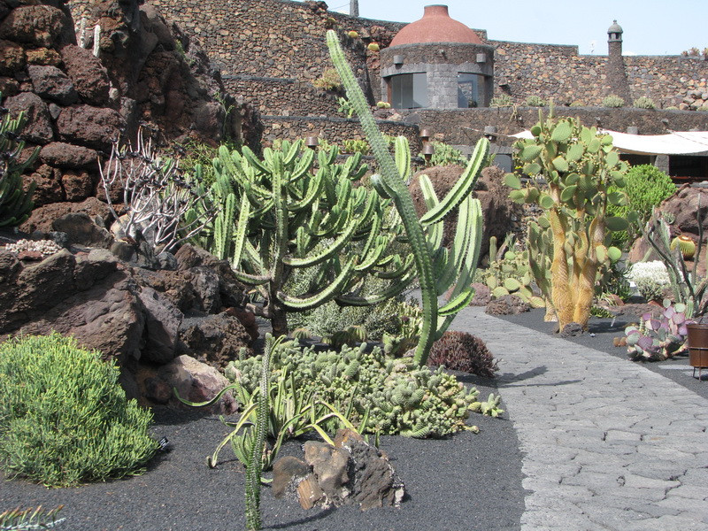 Jardín de Cactus[198] resize