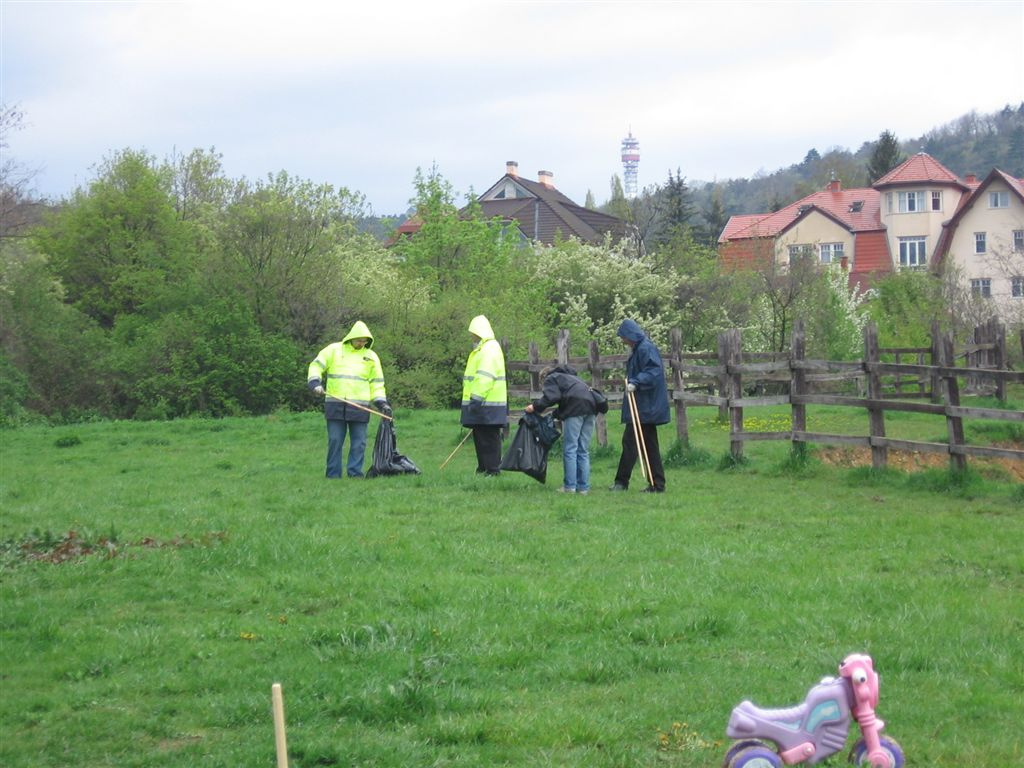 A mező zöld