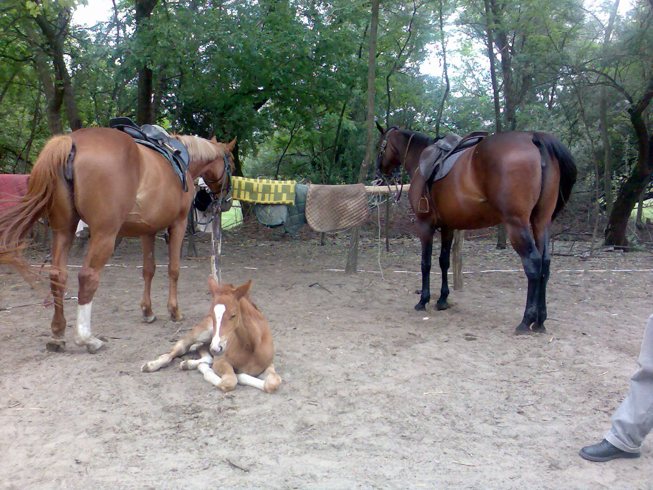 200906Tábor016