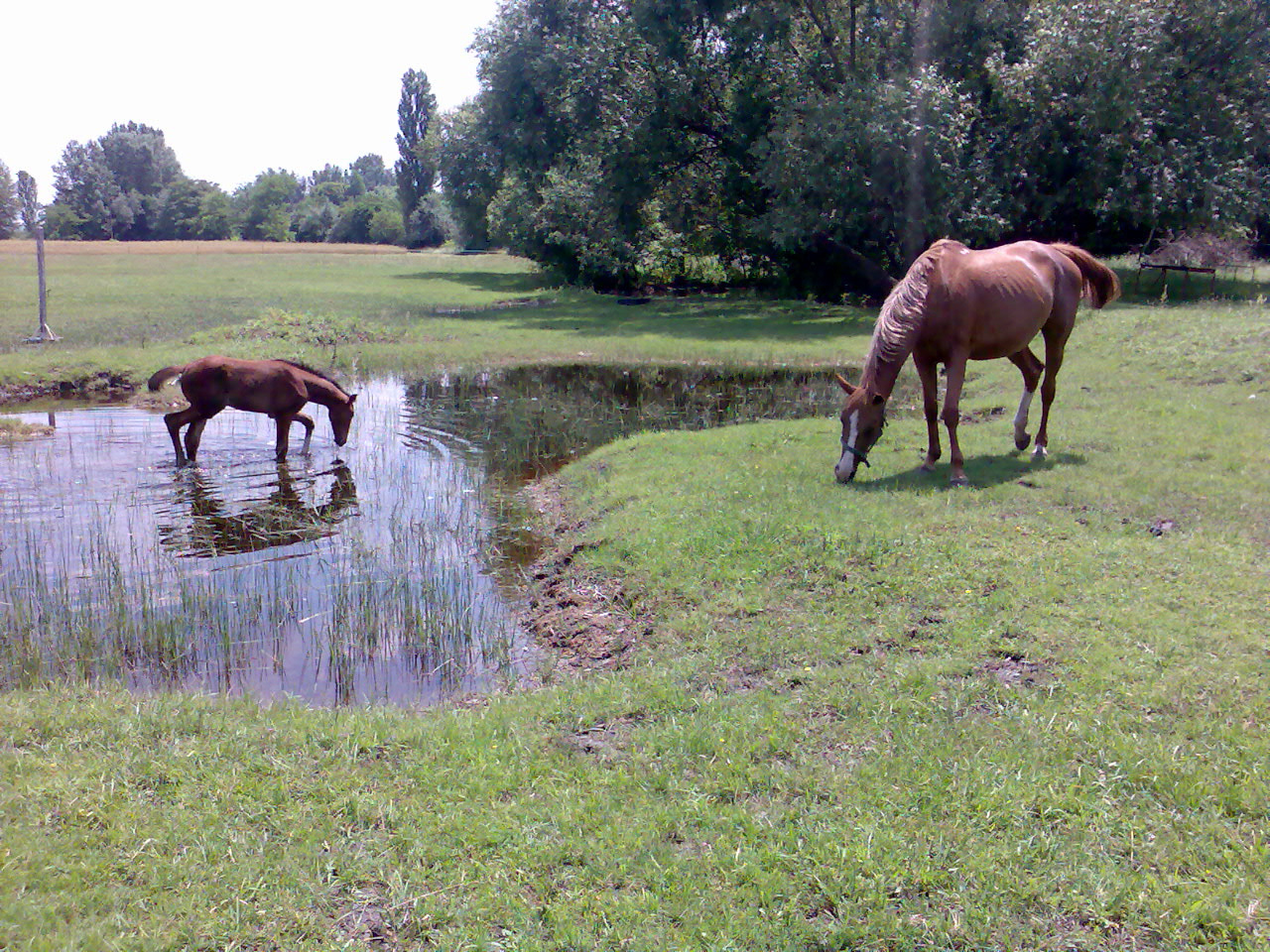 201007 Tábor053