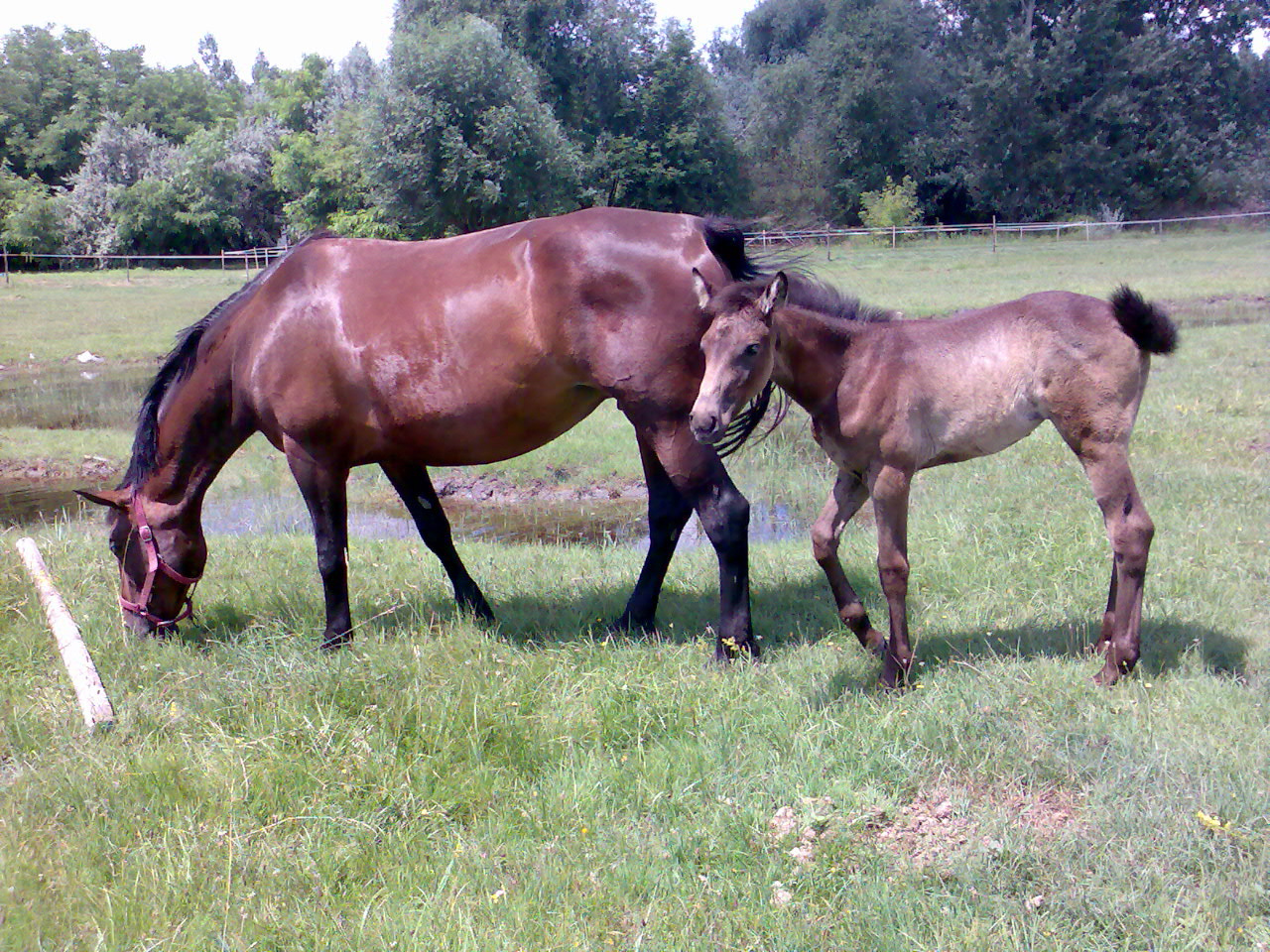 201007 Tábor055