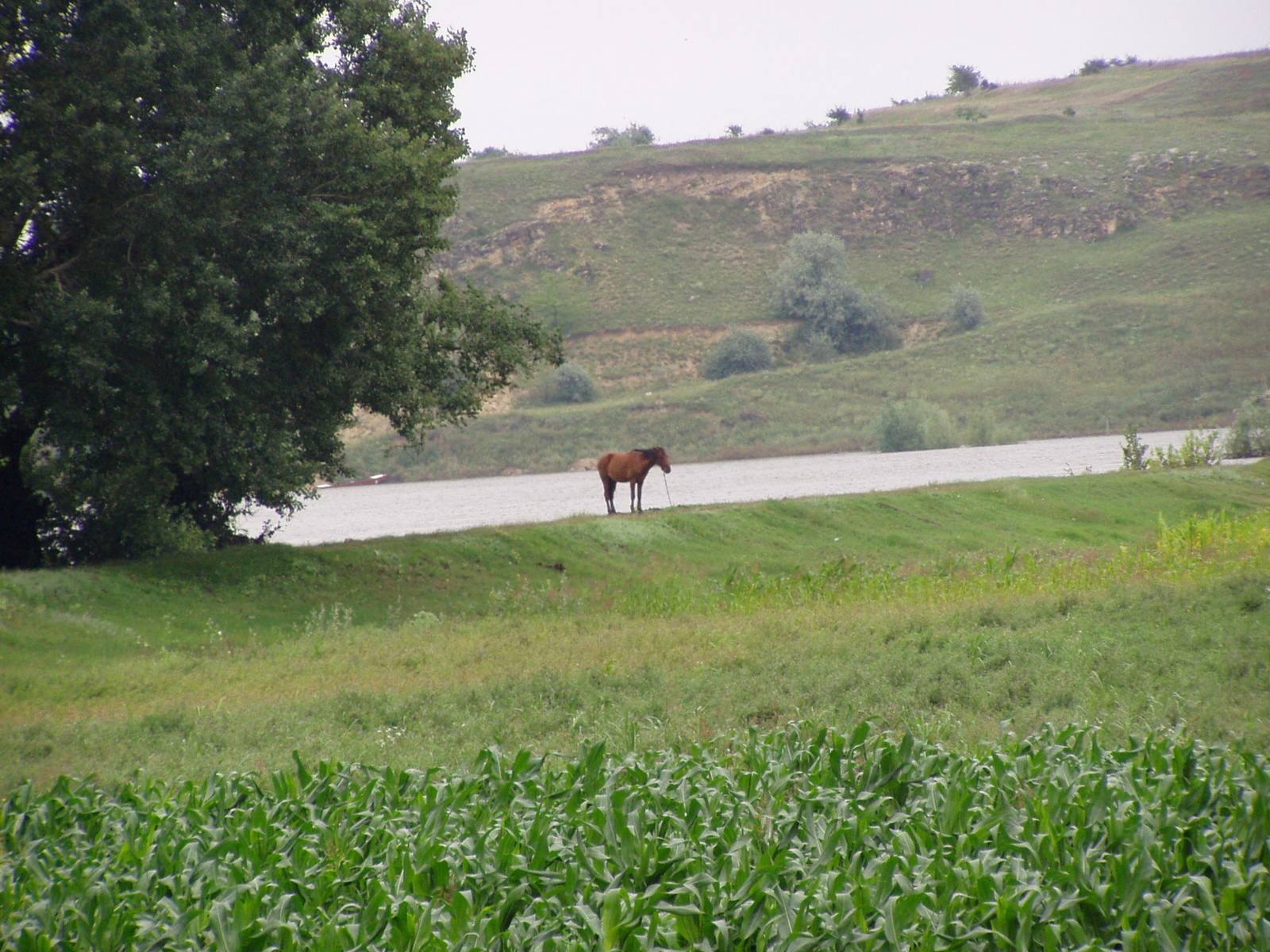 FÉNYKÉPEZŐGÉP 2010 VI HÁRMAS 039