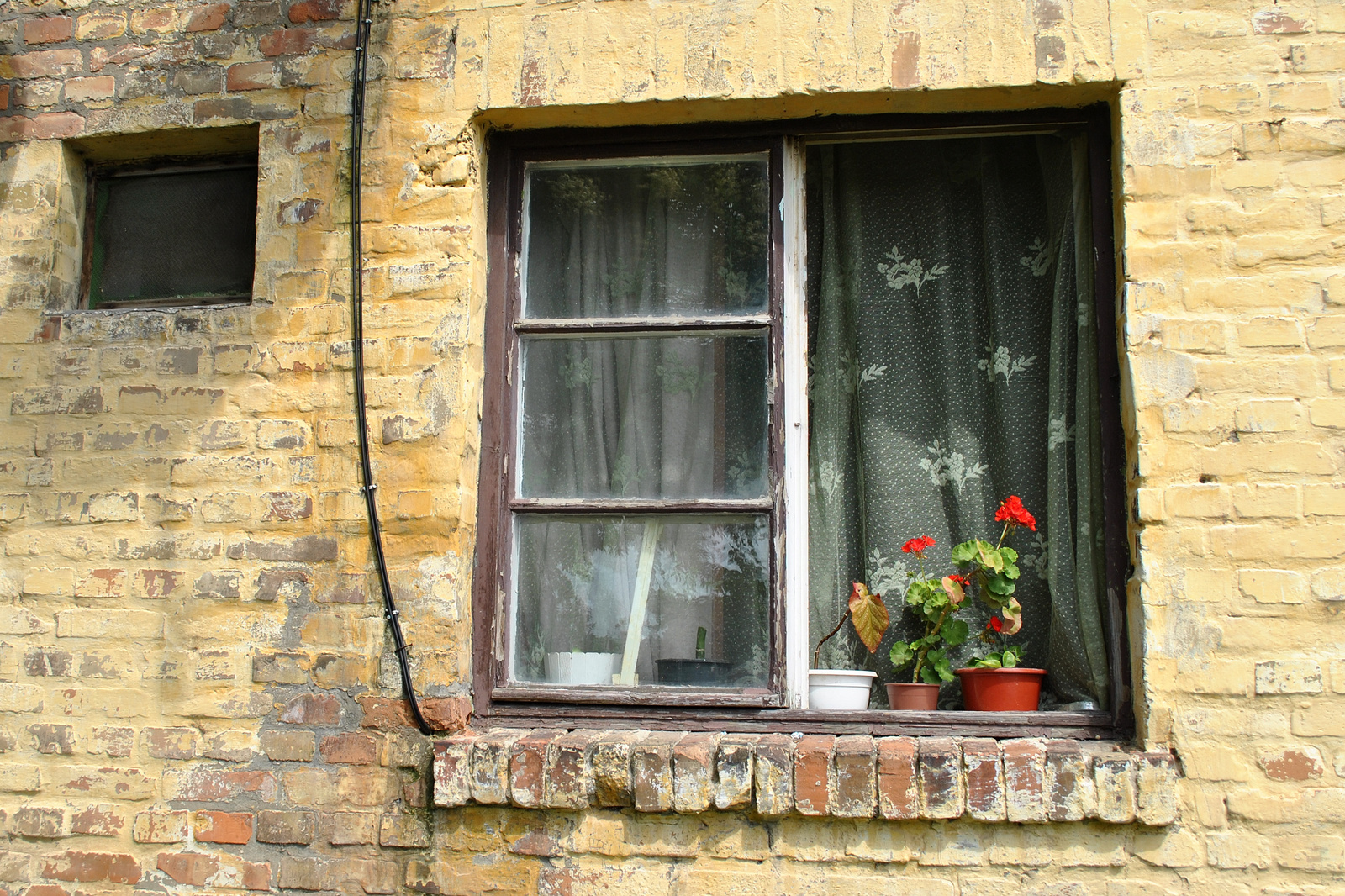 Muskátlis ablak