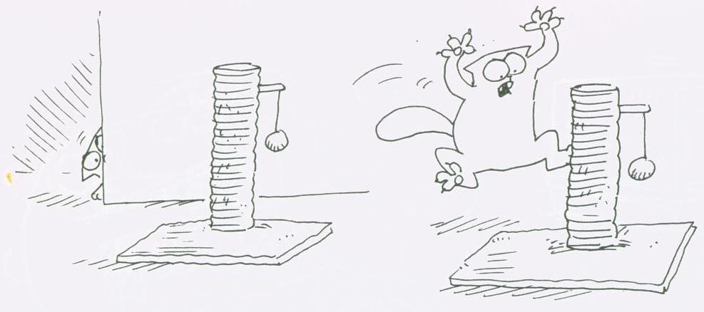 simon's cat1