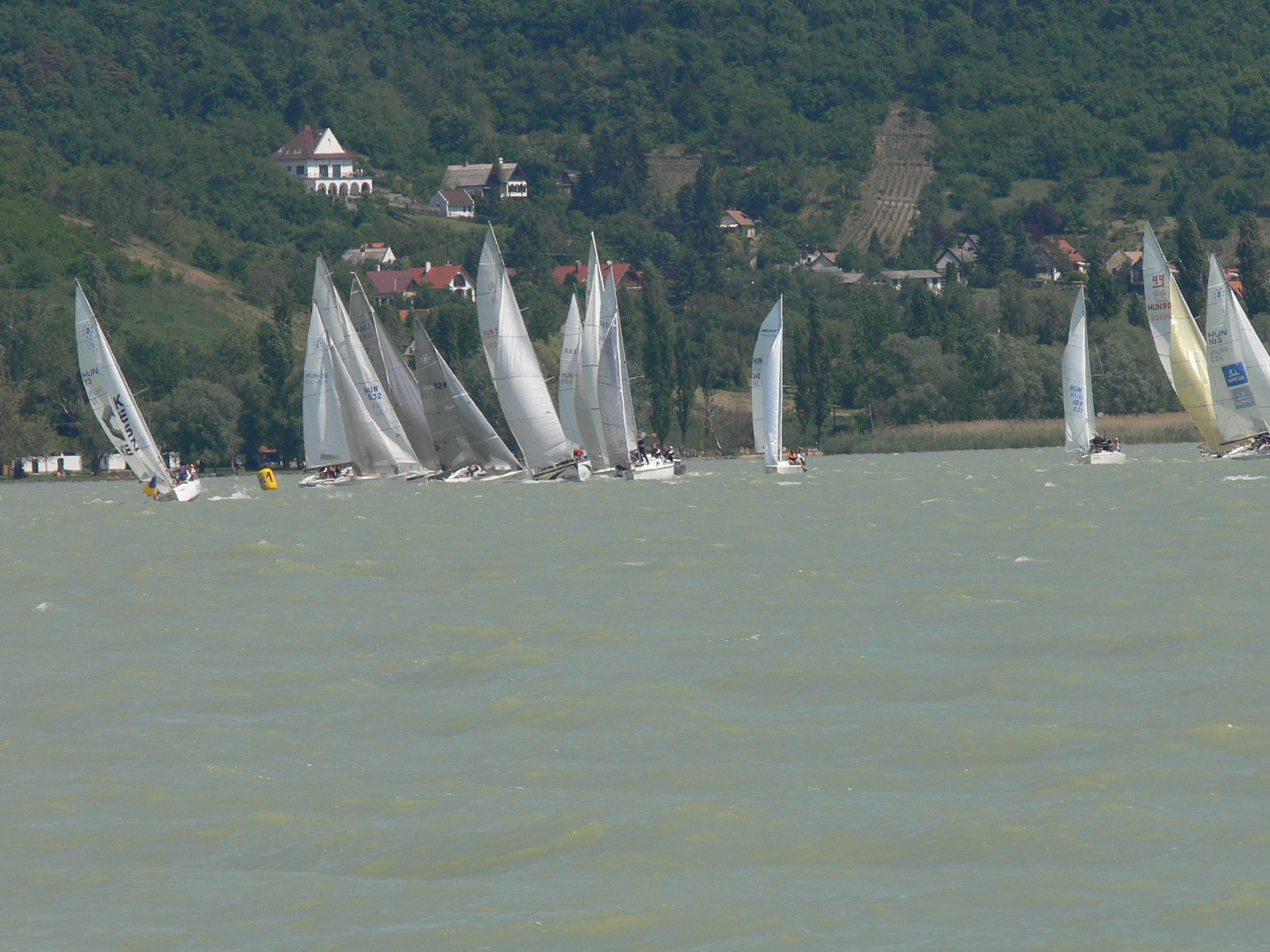 2008 Pünkösd Regatta Szigliget