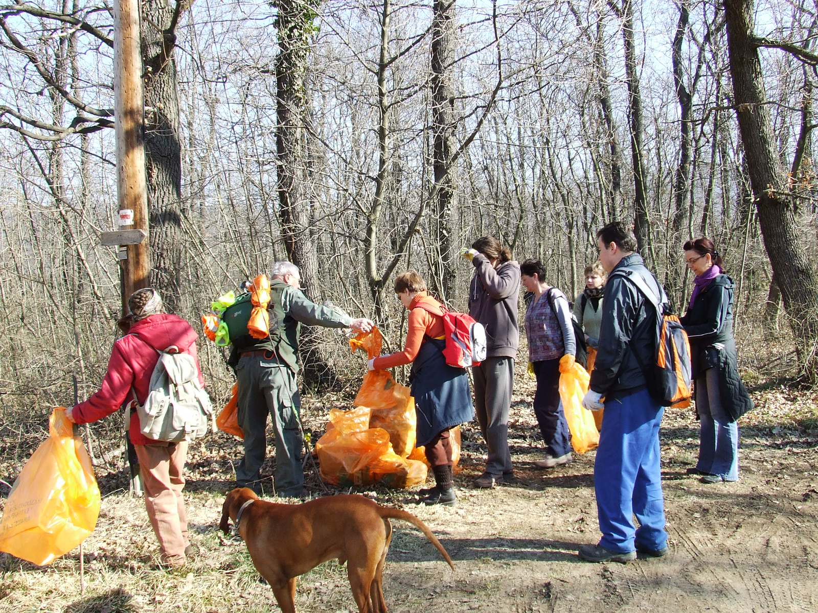 Szemét szedés a Mecseken 2011.03.12 019