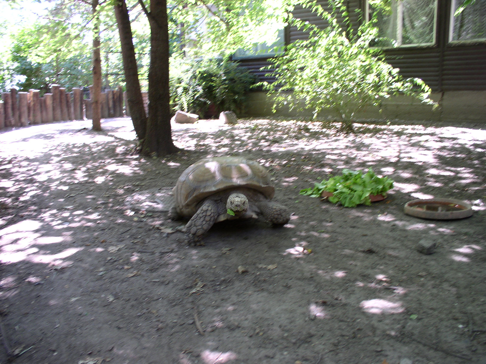 1342 2008.07.07-09 Szeged