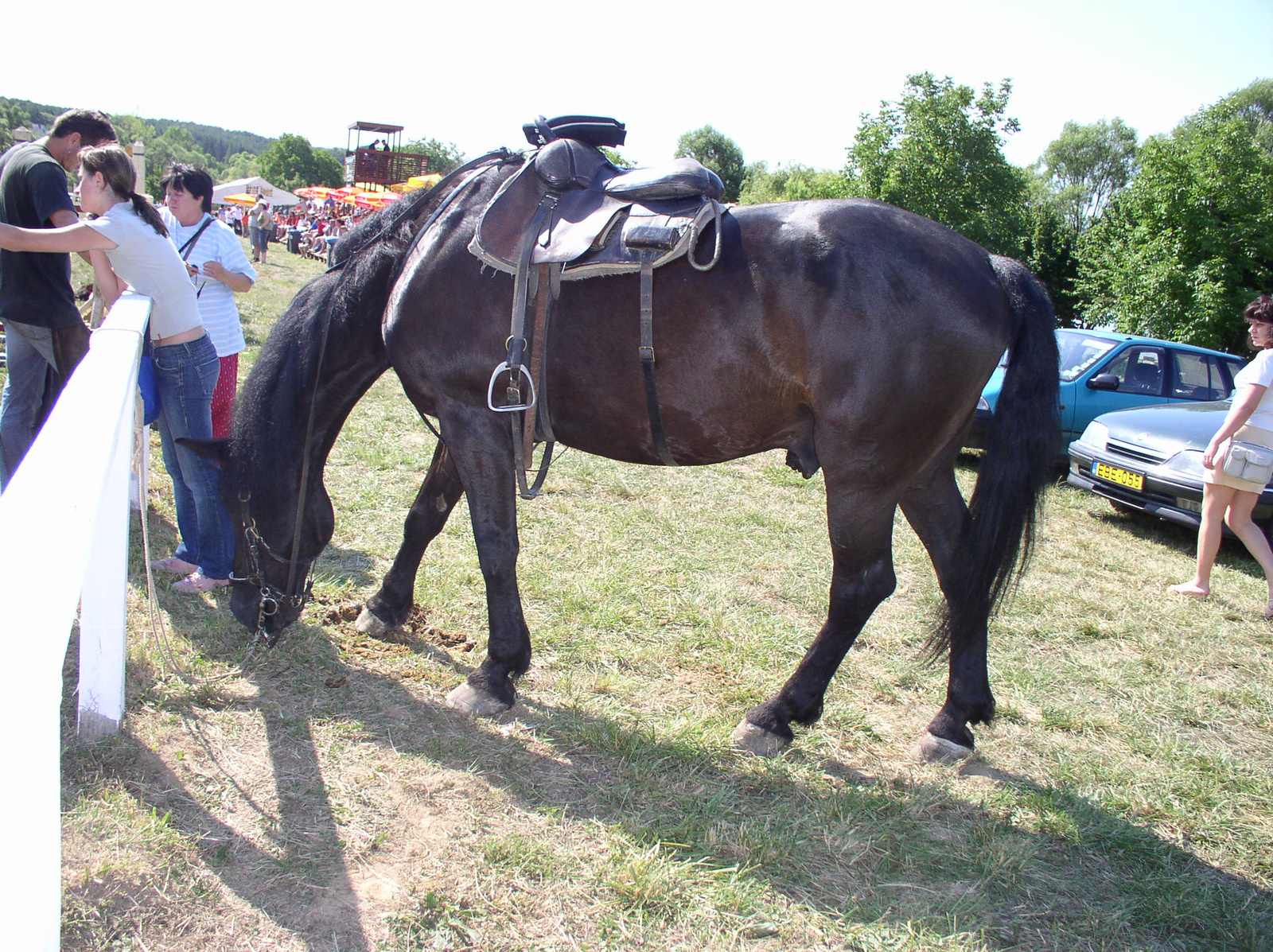 0651 2007.07.08 Orfű-Kemencés