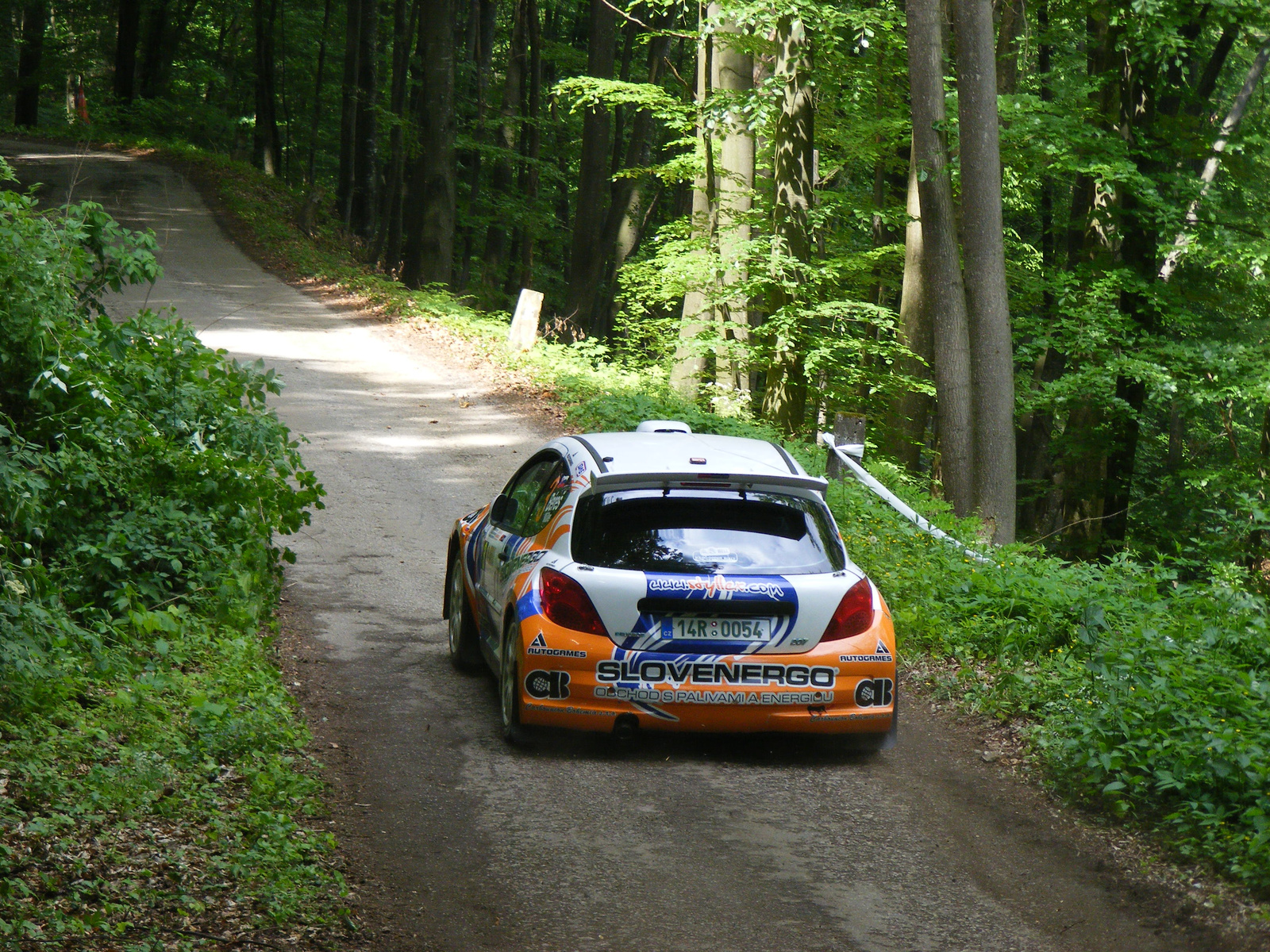 Salgó  Rally 2009 215